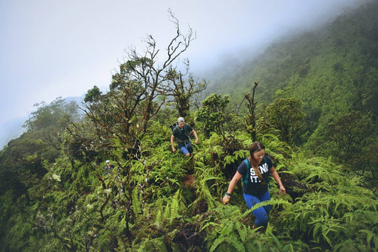 Top 5 Hikes on Oahu That You Won’t Find in a Guidebook