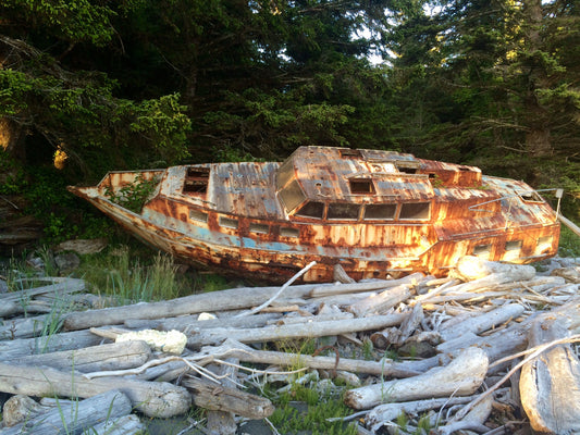 Conquering the West Coast Trail