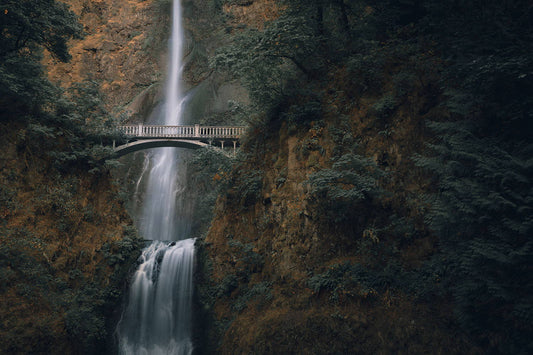 On the Road in Oregon: An 8 Day Itinerary
