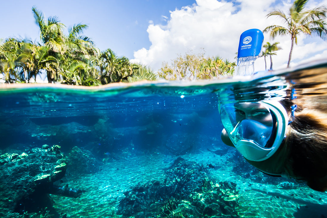 Top 5 Snorkeling Destinations For Every Traveler