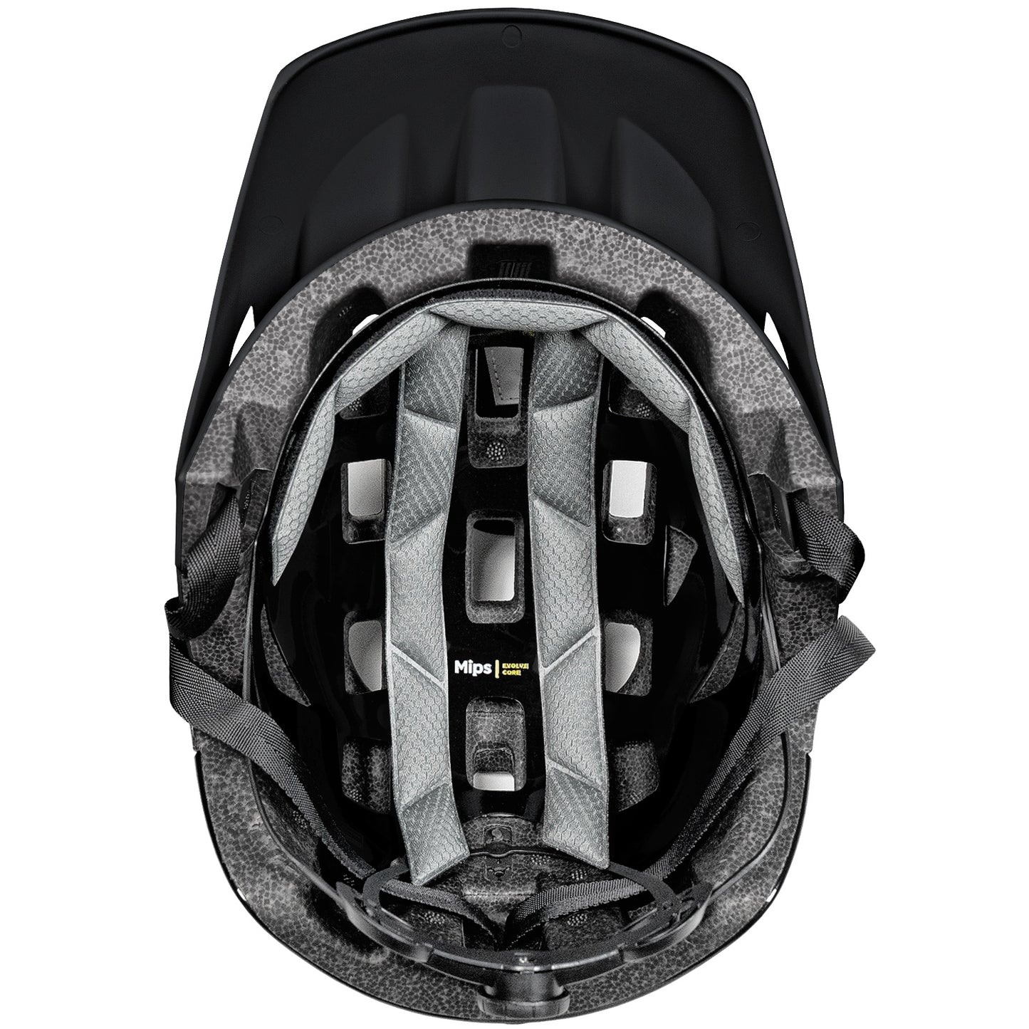 Stealth / L