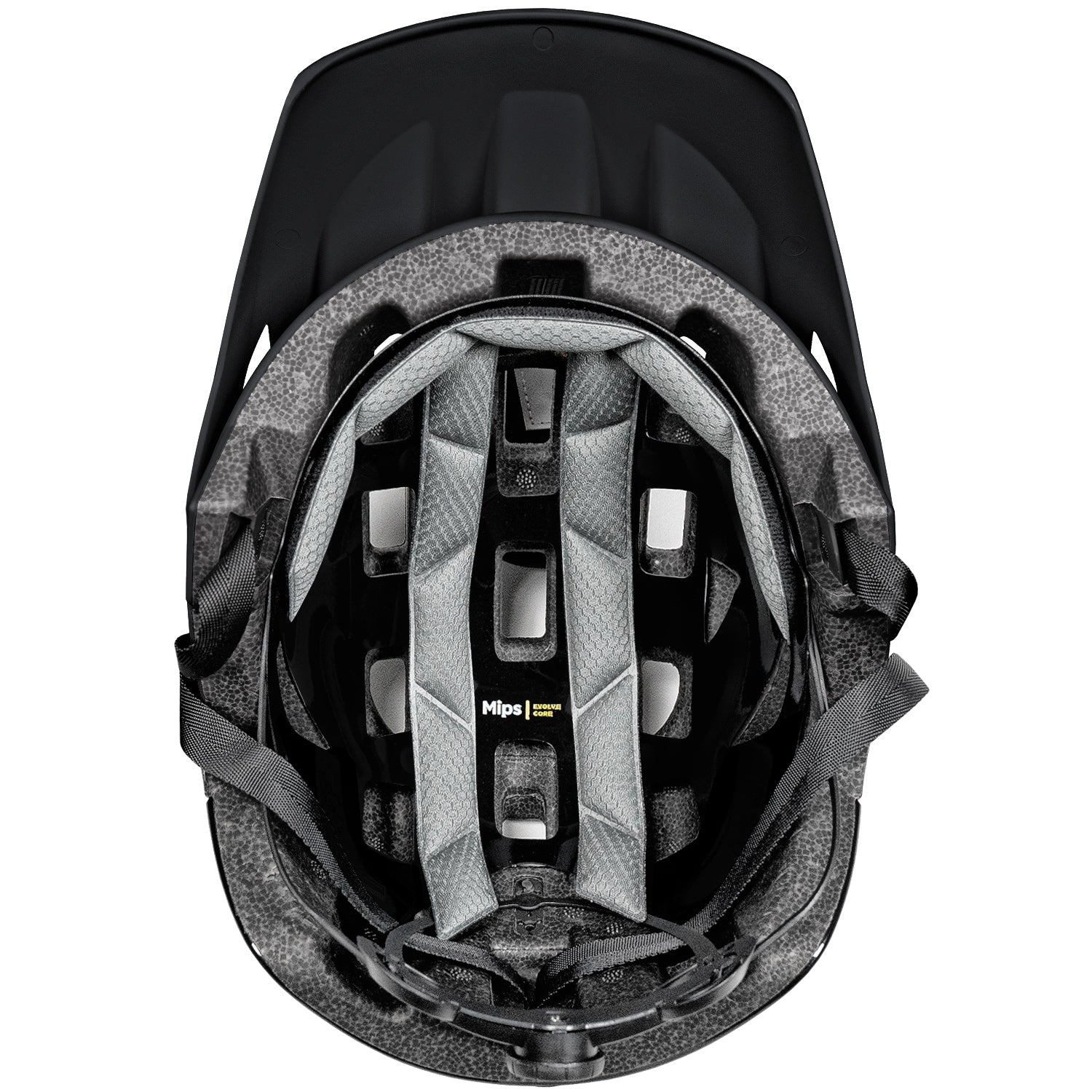 Stealth / L