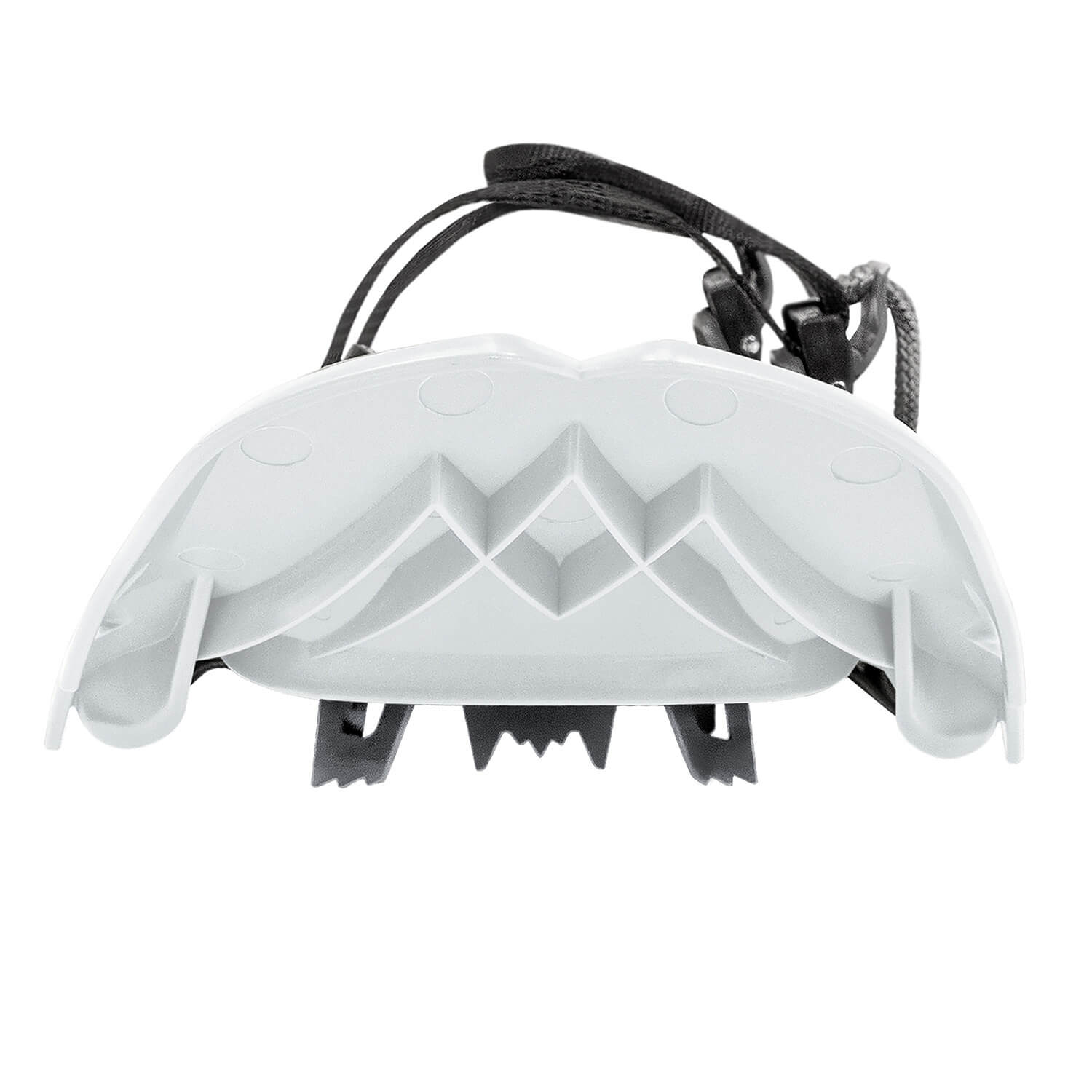 Arctic White / 22